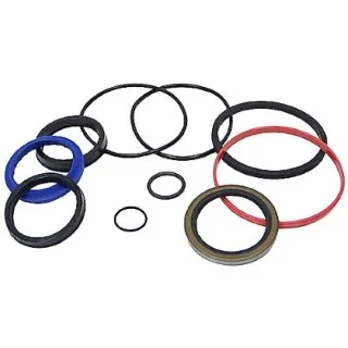 101 - Char-Lynn Hydraulic Motor Seal Kit