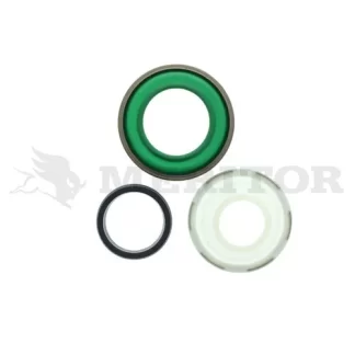 9846550 - Brake Cylinder Repair Kit