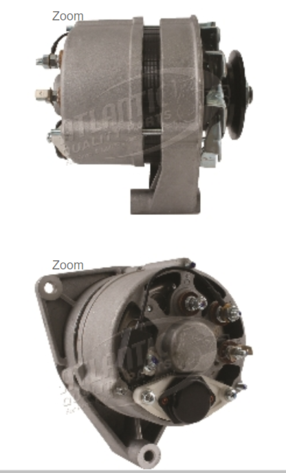 Ferrari Alternator (Goldoni)