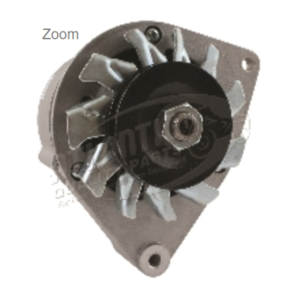 Ferrari Alternator (Goldoni)