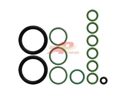 O-Ring Kit Agco/Allis