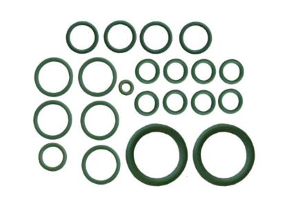 O-Ring Kit Agco/Allis