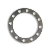 598418 Gasket Drive Axle 12 Hole