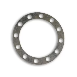 598418 Gasket Drive Axle 12 Hole